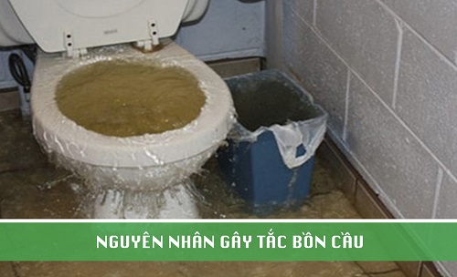 Nguyên nhân và dấu hiệu bồn cầu bị tắc nghẽn